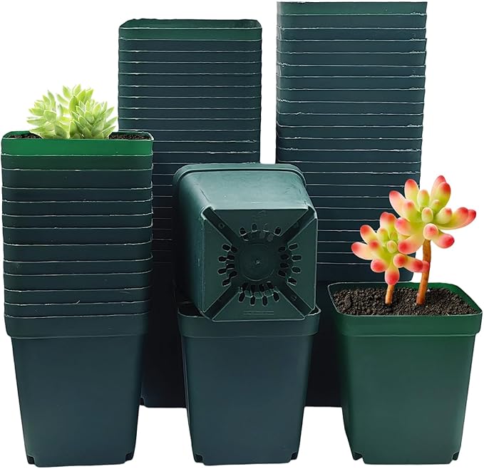 Square Nursery Succulent Pots 4 Inches 60 Pcs Deep Flower Plant Nursery Seedling Grow Pots Plastic with Drainage (Green, 4Inches, 60Pcs)