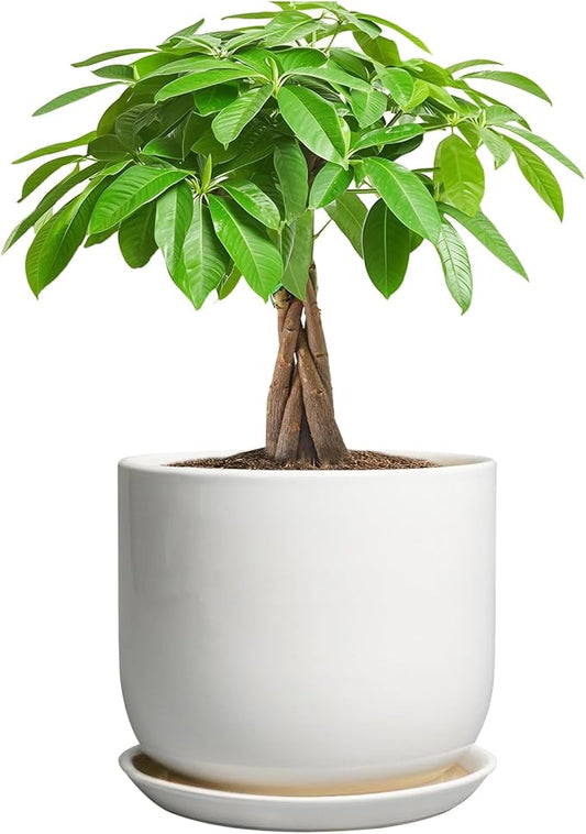Ceramic Pot for Plants 7 Inch - Modern Round Indoor Outdoor Planter with Drainage Hole and Saucer, Home House Office Room Decor, White