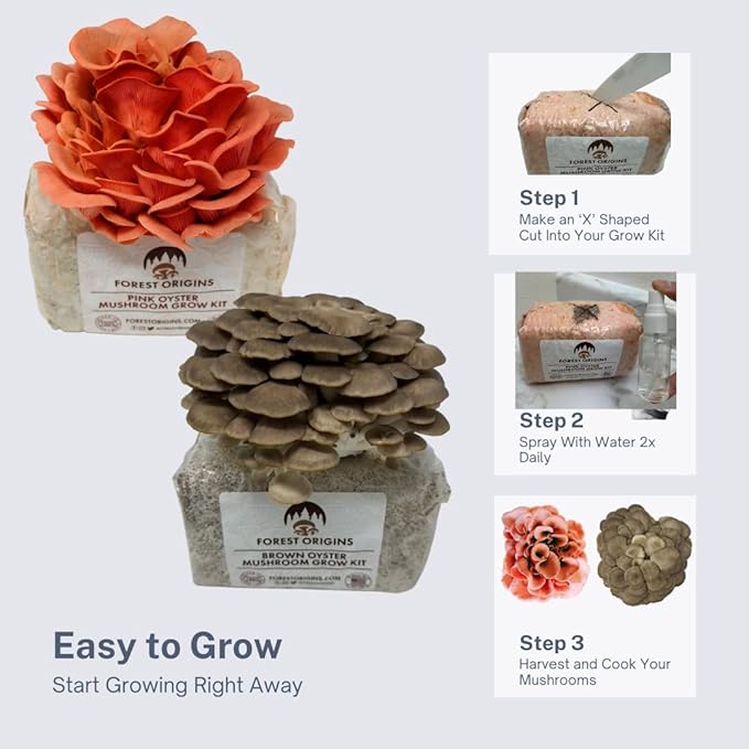 Pink & Brown Oyster Mushroom Grow Kit 2-Pack Variety - Beginner Friendly & Easy to Use, Grows in 10 Days | Handmade in California, USA | Top Gardening Gift, Holiday Gift & Unique Gift