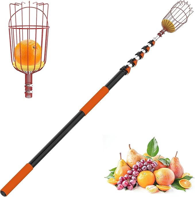 SISIUPASSIE 30FT Reach Fruit Picker, Apple Picker Pole with Basket Telescoping Tool for Apple Lemon Orange Mango Avocado Fruit Tree Picking