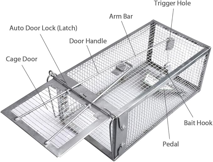 Gingbau 2-Pack Rat Traps Humane Live Chipmunk Cage Traps