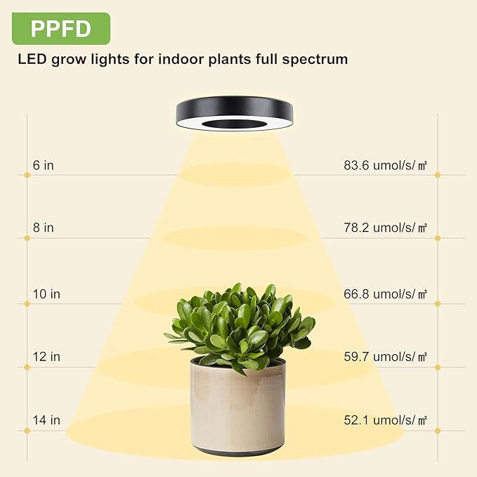 Grow Light for Indoor Plants, 144 LEDs Full Spectrum Halo Plant Light with Auto On/Off Timer (4/8/12H), 10-Level Dimmable, 3 Lighting Modes for Small Plants, Succulents (Black, Tri Head)