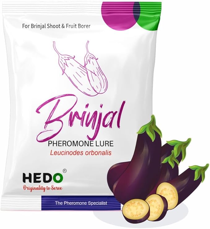 HEDO Pheromone Trap with Brinjal pheromone Lure(Leucinodes orbonalis) for Brinjal Crop Pack of 10
