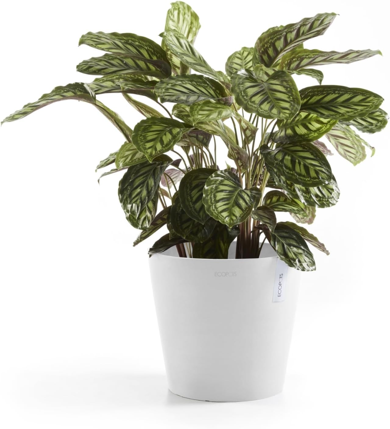 Ecopots Amsterdam Durable Modern Round Indoor/Outdoor Recycled-Based Composite Flower Pot Planter, Pure White, 16"