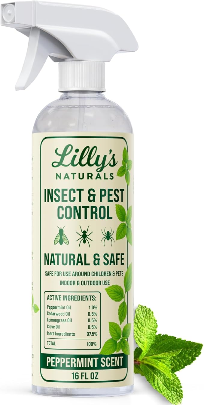 Peppermint Oil Spray for Bugs | Insect Repellent for Indoor & Outdoor Pest Control | Bug, Spider, Rodent, Ant Killer | Natural Plant-Based Pet Friendly Bug Repellent | Lilly's Naturals, 16 oz