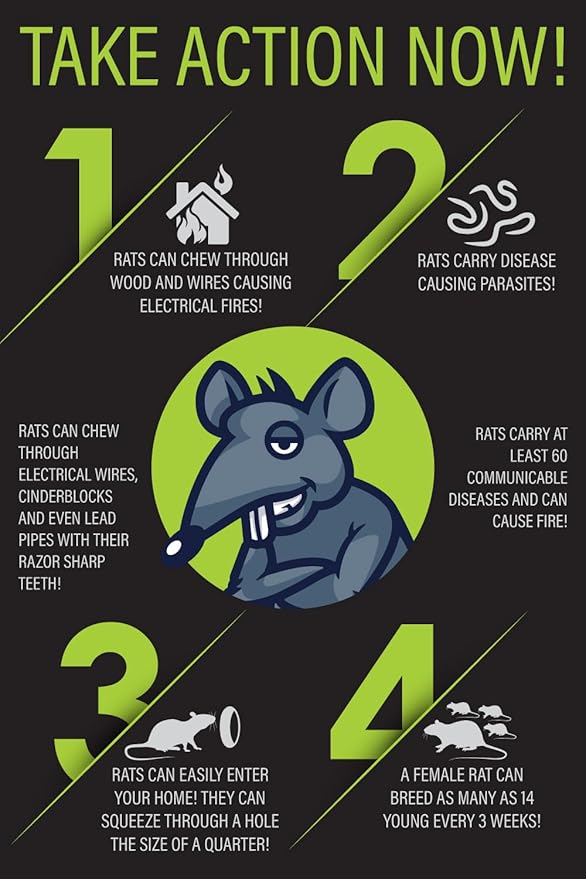 Rat Trap Six Pack - Indoor and Outdoor Traps for Mice, Voles, Rats, Chipmunks - Easy to Set, Powerful Snap, Quick Kill - by Guarden