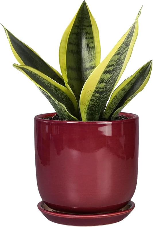 Ceramic Plant Pot - 5 Inch Modern Round Planter for Indoor Plants with Drainage Hole and Saucer, Patio Office House Room Bathroom Decor, Red