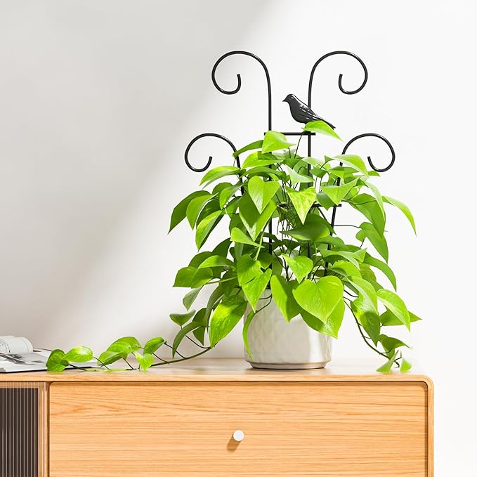 Plant Trellis for Climbing Plants Indoor, 3 Pack Metal Garden Trellis for Potted Plants, Rustproof, Sturdy Climbing Plant Support for Indoor & Outdoor Houseplants