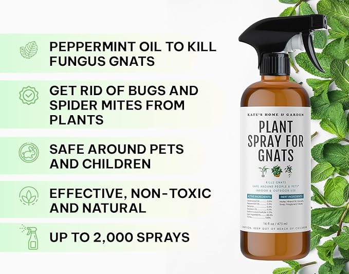 Kate's Home & Garden Plant Spray for Insects & Getting Rid of Gnats with 12 Sticky Traps. Fungus Gnat Killer & Bug Spray for Indoor Plants (16oz, Cedarwood, Pet Safe, Non Toxic)