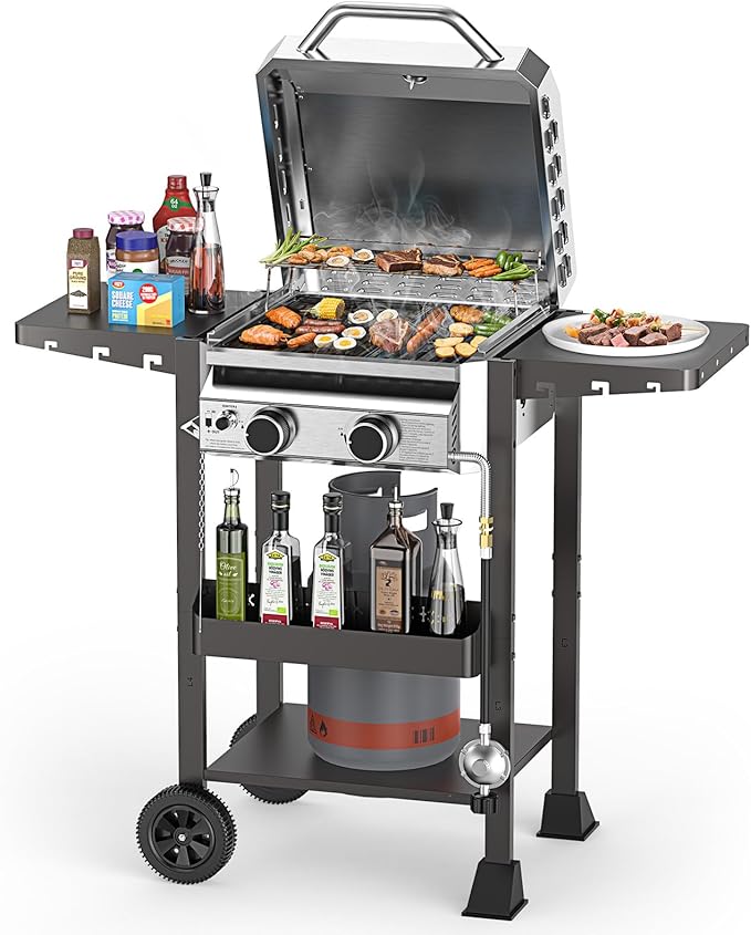2 Burner Gas Grills Propane, 16,000 BTU Stainless Steel Compact Gas Barbecue Grill with Foldable Shelves, Small Propane Grills Outdoor Cooking for Patios Backyard Camping, 255 SQ.IN Cook Area