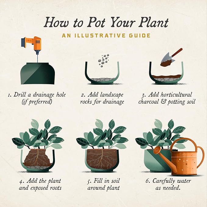 ARBORA 20" Valencia Polyresin Indoor and Outdoor Planter with Classic Black Finish - Durable, Weatherproof, Lightweight, Large Plant Pot for Patio, Garden, Deck, Entryway