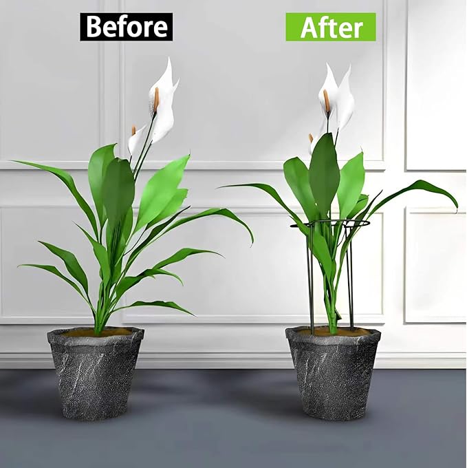 10 Pack Plant Support Stakes, 4 mm Thick 24 Inch Half Round Metal Garden Stakes, Plant Support Cages Ring for Peony Tomato Hydrangea Rose Flower Indoor Outdoor (10" Wide x 24" High)