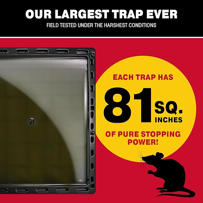 Catchmaster Jumbo Rat & Mouse Glue Traps 6Pk, Large Bulk Glue Board Rat & Mouse Traps Indoor for Home, Adhesive Plastic Tray for Snakes, Mice, & Spiders, Pest Control for House & Garage