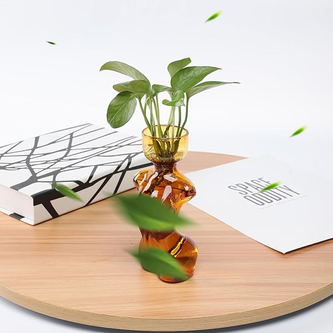 Propagation Vases for Plants Plant Propagation Jars Unique Body Avocado Vase Glass Planter Perfect for Seed Starting Water Rooting and Home Decor Gift for Father