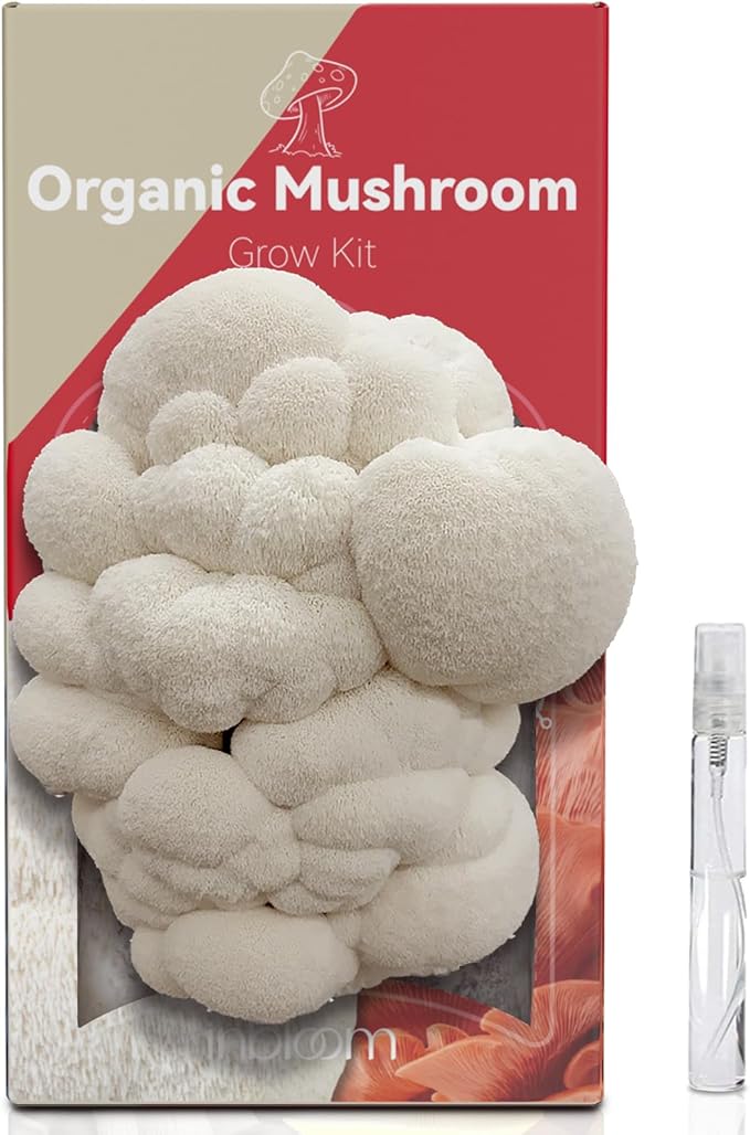 inbloom Double-Side Organic Lion's Mane Mushroom Growing Kit, Non-GMO White Indoor Mushroom Grow Kit (4 lbs), Easy to Use Plump Mushroom Kit Gift for Birthday, USA