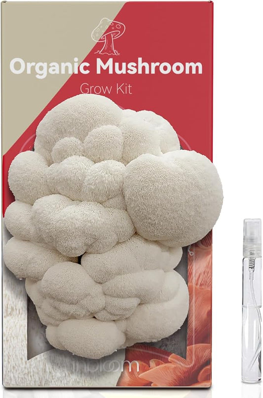 inbloom Double-Side Organic Lion's Mane Mushroom Growing Kit, Non-GMO White Indoor Mushroom Grow Kit (4 lbs), Easy to Use Plump Mushroom Kit Gift for Birthday, USA