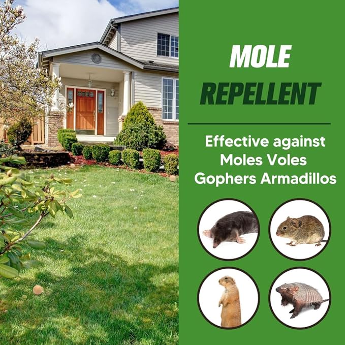 Mole Repellent Outdoor,Vole Repellent for Lawn,Yard,Pet and People Safe Gopher Repellant,Natural Ingredients Groundhog Repellent,Convenient to apply-8P
