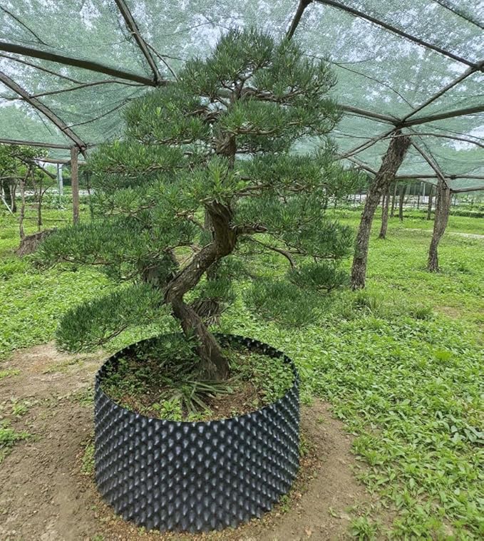 25 Gallon Air Pruning Containers 5-Pack, 100 Liter 20" X 20" D/H Special Packing Interlocked Large Air Root Pruning Planters for Big Tree Grow Outdoor(5 Pack 26 Gallon), Black