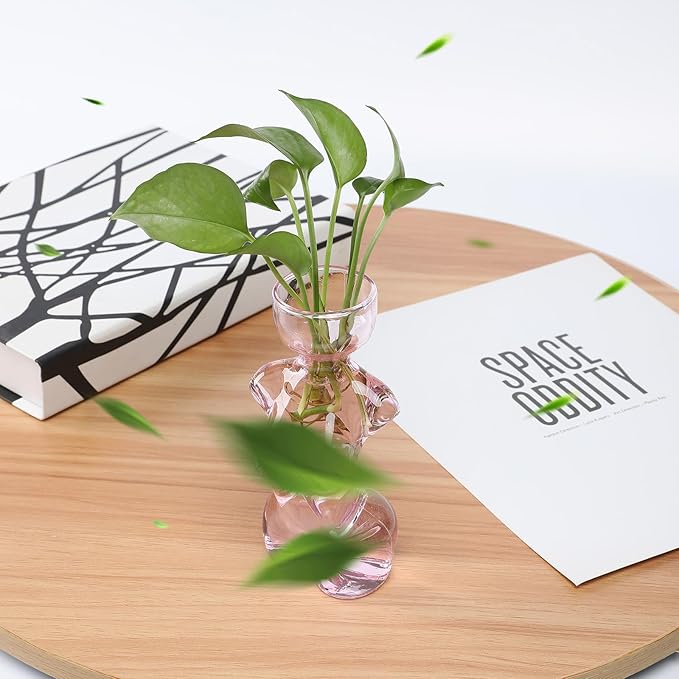 Propagation Vases for Plants Plant Propagation Jars Unique Body Avocado Vase Glass Planter Perfect for Seed Starting Water Rooting and Home Decor Gift for Father