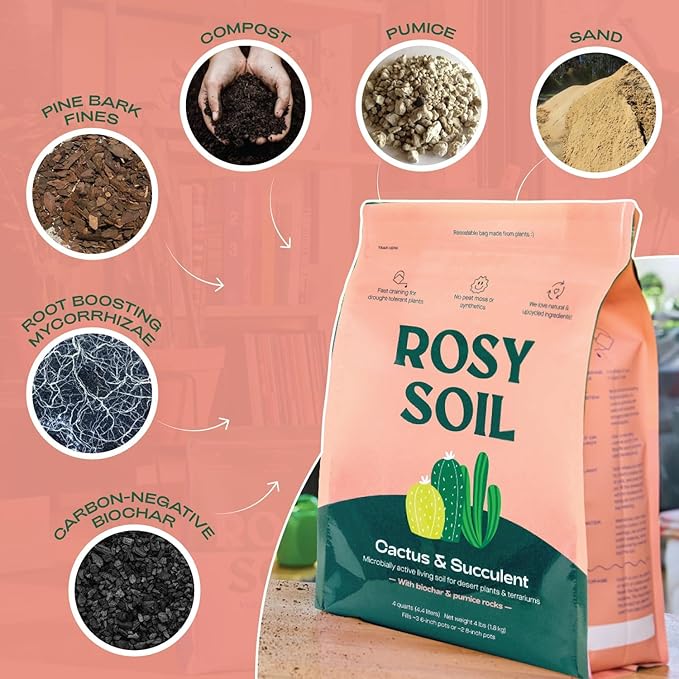 Rosy Soil Cactus and Succulent Potting Soil Mix (4 qts) + Indoor Potting Soil (8 qts) - Peat Free House Plant Soil - Potting Soil Mix for Indoor Plants