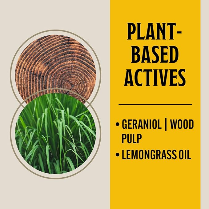 Grandpa Gus's Natural Ant Roach Spider Killer Spray, Fast-Acting Plant-Based Insect Control, Safe for Kids Pets, Indoor Outdoor Use, Non-Greasy, Fresh Scent, 16 fl oz