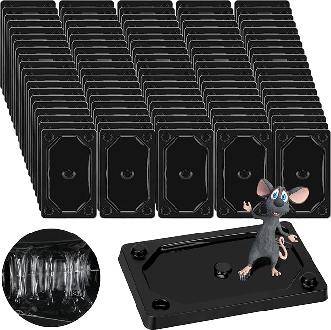 Qualirey 64 Pieces Mouse and Insect Glue Traps Heavier Sticky Traps with Non-Toxic Glue for Mice and Insects, Pet and Children Safe (3 x 5 Inch)