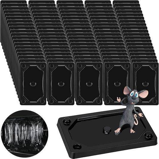 Qualirey 64 Pieces Mouse and Insect Glue Traps Heavier Sticky Traps with Non-Toxic Glue for Mice and Insects, Pet and Children Safe (3 x 5 Inch)