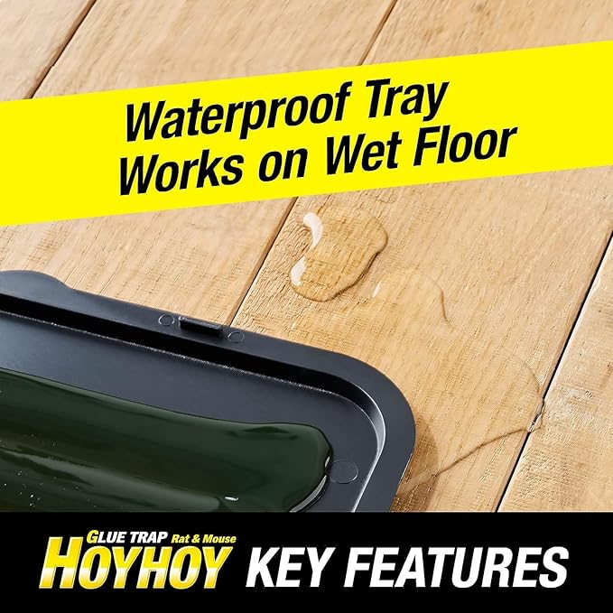 HOY HOY Regular Size Rat & Mouse Indoor/Outdoor Glue Trap (4 Pack)