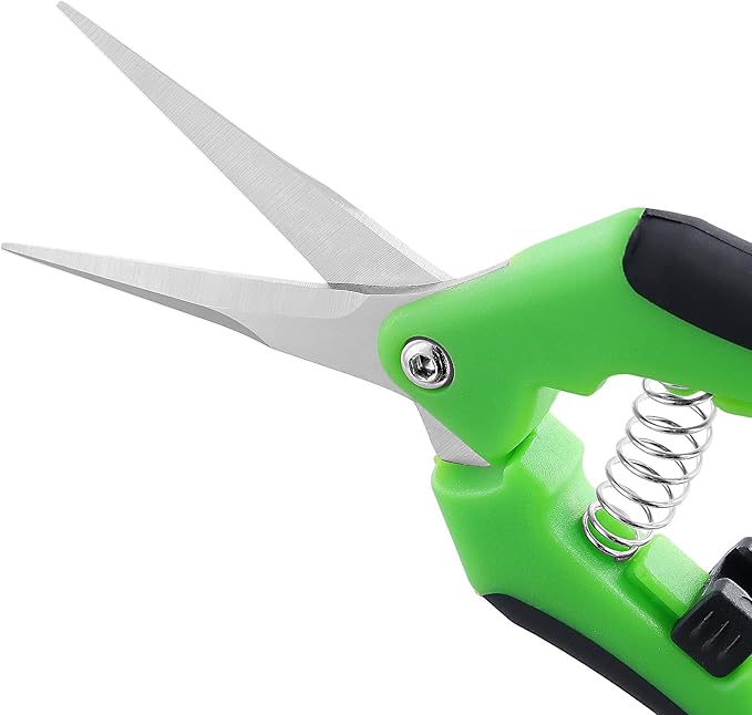 15 PCS 6.5 inch Garden Pruning Shears, Gardening Hand Pruners with Straight Stainless Steel Precision Blades, Pruning Shears Bud Trimming Scissors for Flowers Branches Precise Cuts