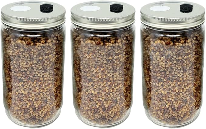 Premium Quick Colonizing 32oz 5-Grain Mushroom Spawn Jars (3-Pack)