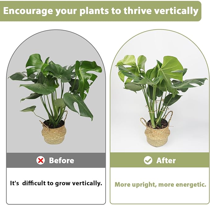 PRETTY JOLLY 5PCS Iron Monstera Plant Support Stakes Premium Plant Stand for Indoor & Outdoor Plants Practical Leaf Holders,Durable Trellis Accessories for Gardening Enthusiasts(Tree)