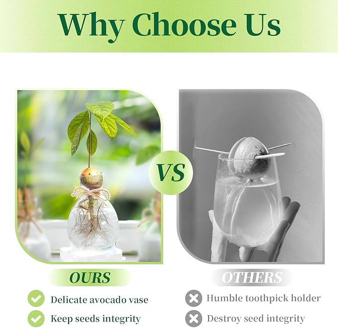 Hewory Avocado Seed Starter Vase: 3 Pcs Glass Avocado Tree Growing Kit Pot for Indoor Plant - Rustic Acorn Vases for Plant Gardening Lovers