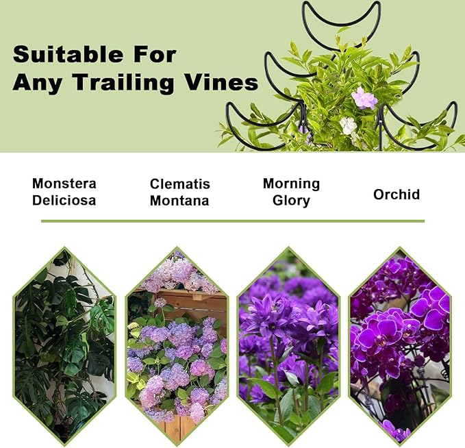 Indoor Plant Trellis 2 Pack Small Metal Climbing Plants Support for Outdoor Garden Potted Flowers Houseplant Ivy Vines Hoya