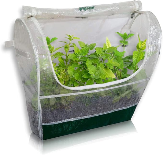 Portable Mini Indoor Greenhouse - Perfect Greenhouses for Outdoors & Indoors Gardening, 24''x22''x12'' Small & Heavy Duty Green Houses for Outside - Ideal Green House Planter for Herbs