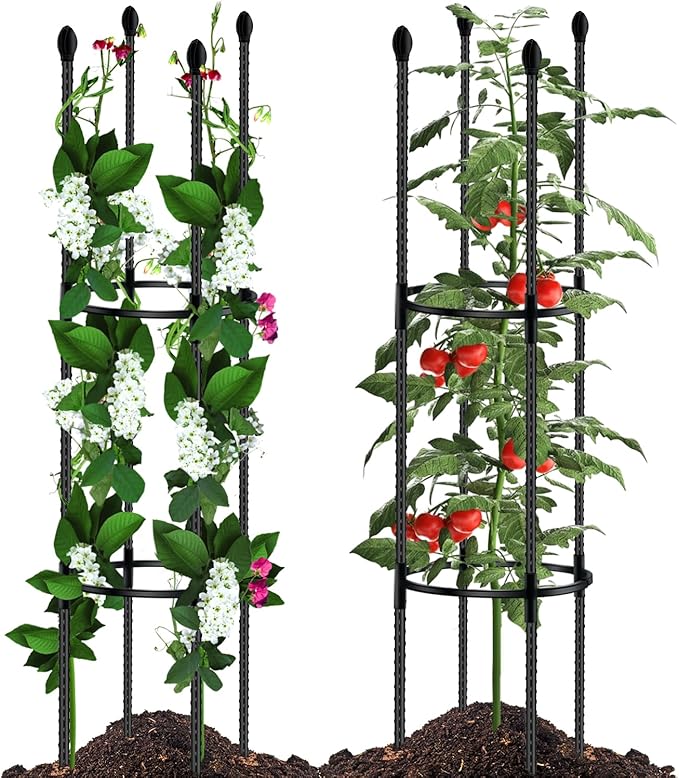 Tomato Support Cages for Garden Metal Plant Stakes 2 Packs 47 Inch Tall Large Heavy Duty Plant Cage Trellis for Support Outdoor Climbing Vegetables Plants Flowers Comes 20 Strap Ties