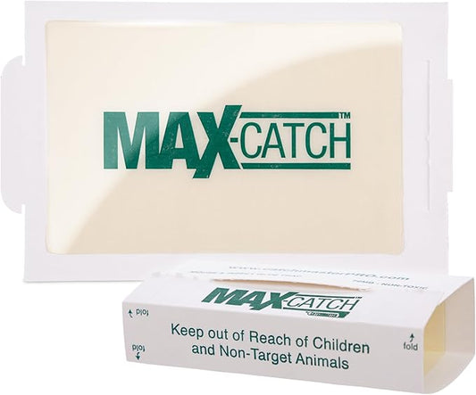 Catchmaster Max-Catch Mouse & Insect Glue Trap 72pk, Mouse Traps Indoor for Home, Sticky Pest Control Adhesive Tray for Catching Bugs, Non Toxic Bulk Pre-Baited Glue Boards