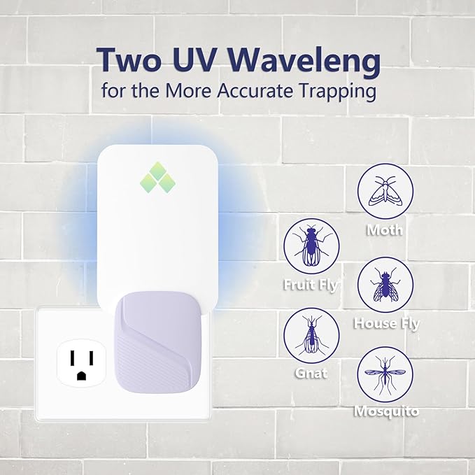 Fruit Fly Traps for Indoors, 2-in-1 Fly Traps Gnat Catcher Flying Insect Traps for Flies, Mosquitoes (2 Devices & 12 Glue Cards)