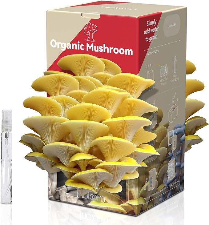 inbloom Organic Golden Oyster Mushroom Growing Kit with Spray, Harvest Fresh Mushrooms at Home, Beginner Friendly & Easy to Use, Unique Gardening Gift for Holiday, Handmade in New Jersey, USA