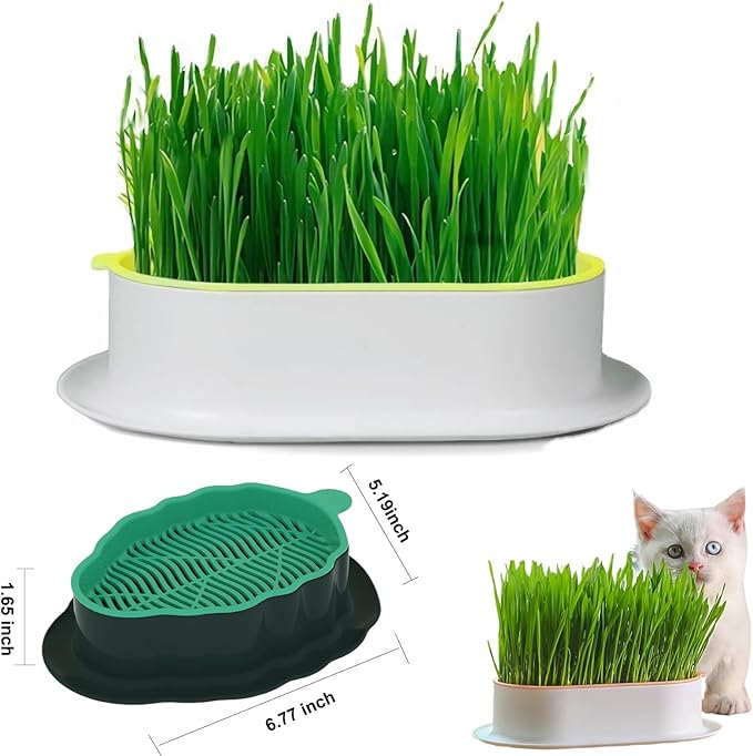 2Pcs Cat Grass Planter (No Seeds Included) Wheatgrass Planting Trays Hydroponic Cat Grass Growing Kits for Indoor Cats Soilless Organic Nursery Box Pet Grass Pot (N)