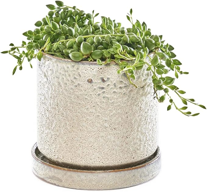 CHIVE ‘Minute’ Ceramic Planter Pot — Cute 5” Colorful Succulent Pots for Indoor & Outdoor House Plants — Beautiful Modern Farmhouse Kitchen Decor — Ivory Speckle