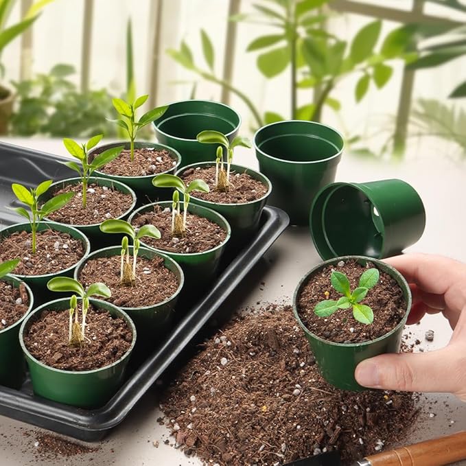 100 Pack 2.5 Inch Small Plant Pots, Plastic Nursery Pots for Plants, Seedling Pots for Planting Seeds, Succulents, Vegetables, Green