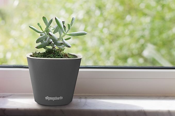 Window Garden – Aquaphoric Self Watering Mini Planter Pots (3 Pack) – Grow On Indoor Sill. Perfect for Potting Small Plants, Herbs, African Violets, Succulents, or Start Seedlings.