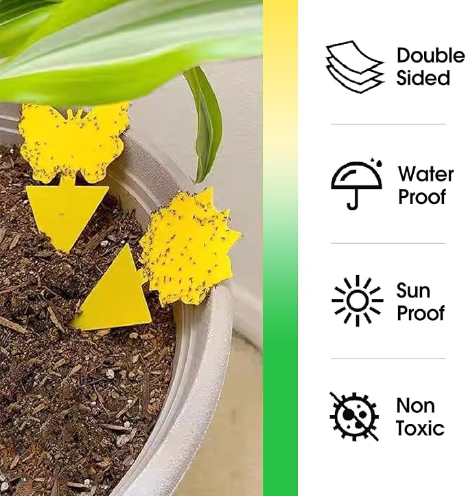 58 Pcs Flying Insect Traps for Plants,Indoors, Outdoors, Kitchen, Office, Yellow Sticky Traps for Fungus Gnat, Fly and Flying Insects, Non-Toxic & Odorless, Kid & Pet Safe, Economic Pack