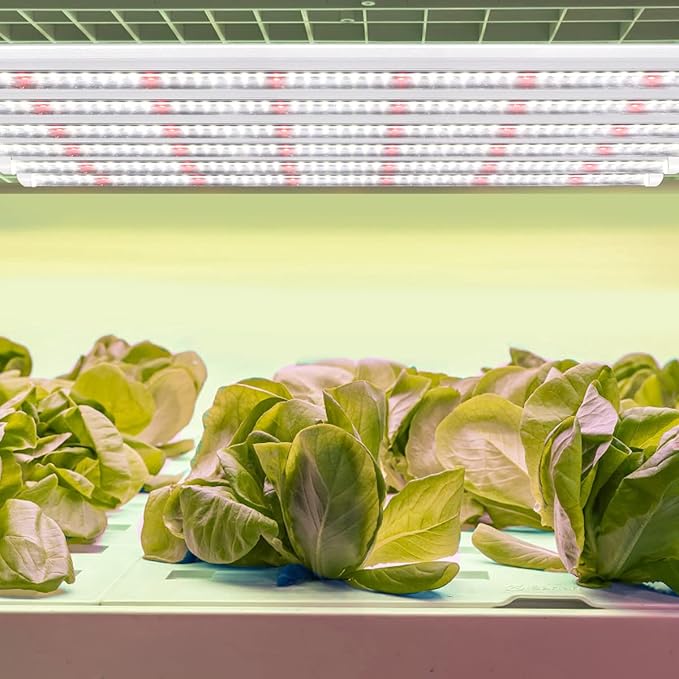 T5 LED Grow Lights, 306-Bulbs 5000K White Full Spectrum Plant Growing Lamp Bars for Indoor Plants Seedling Hydroponics, Daisy-Chain Design (6 x 10W, 300W Equivalent)