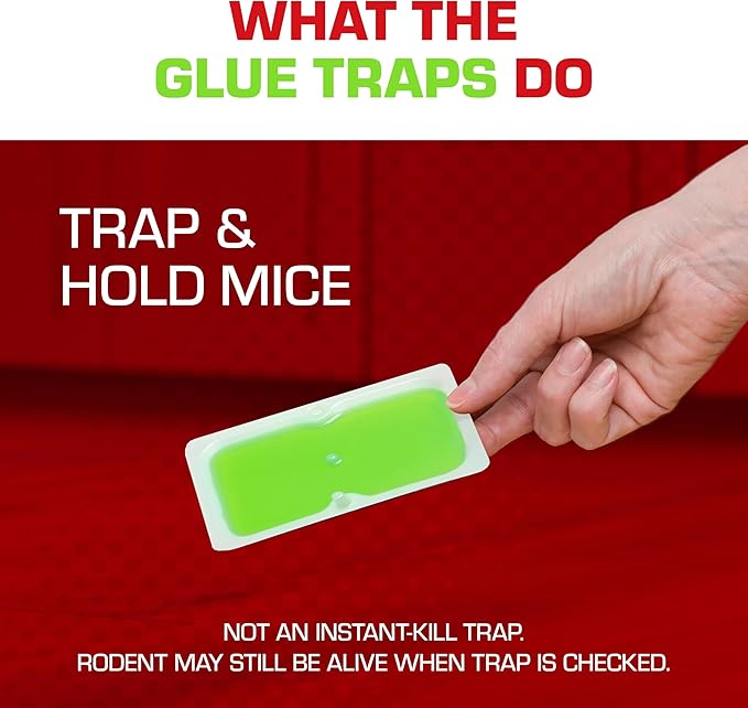 Tomcat Super Hold Glue Traps Mouse Size for Mice, Cockroaches, Spiders, and Scorpions, Ready-To-Use, 4 Traps (2-Pack)
