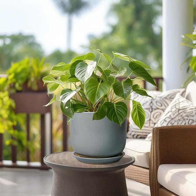 Ceramic Planter for Indoor Outdoor Plants - Cylinder Decorative 8 Inch Plant Pot with Drainage Hole and Saucer, Modern Home Decor, Gray