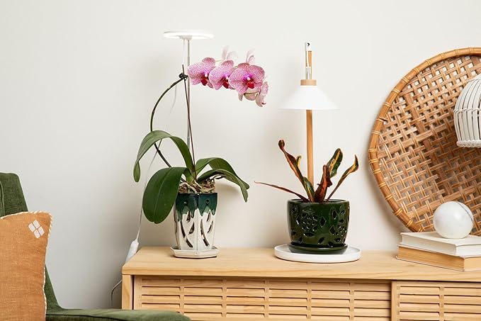 rePotme Lumina Glow - Grow Light for Indoor Plants - Full Spectrum LED Plant Light, White Accents, No Tools Required, White Grow Lamp