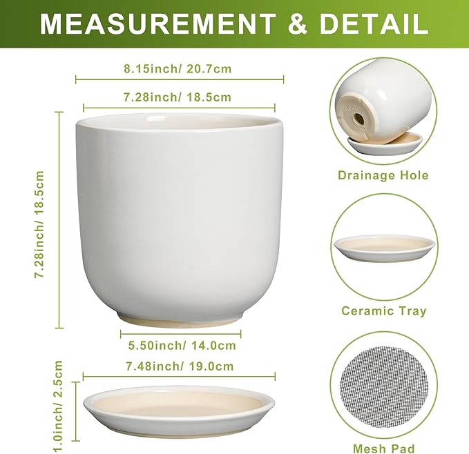 Ceramic Plant Pot - Modern 8 Inch Round Planter for Indoor Outdoor Plants with Drainage Hole and Saucer, Home House Room Office Decor, White