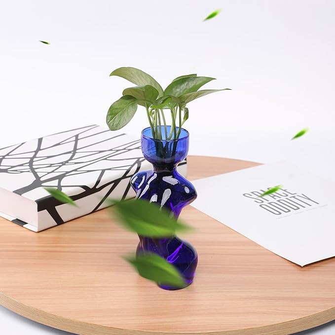 Propagation Vases for Plants Plant Propagation Jars Unique Body Avocado Vase Glass Planter Perfect for Seed Starting Water Rooting and Home Decor Gift for Father