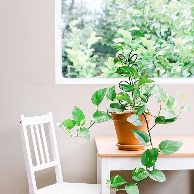 8 Packs Trellis for Potted Plant,Metal Wire Stake for Climbing Plants Indoor Houseplant Lover,Trellis for Garden Potted Plant,Hoya,Pothos,Flower,Monstera (Black)